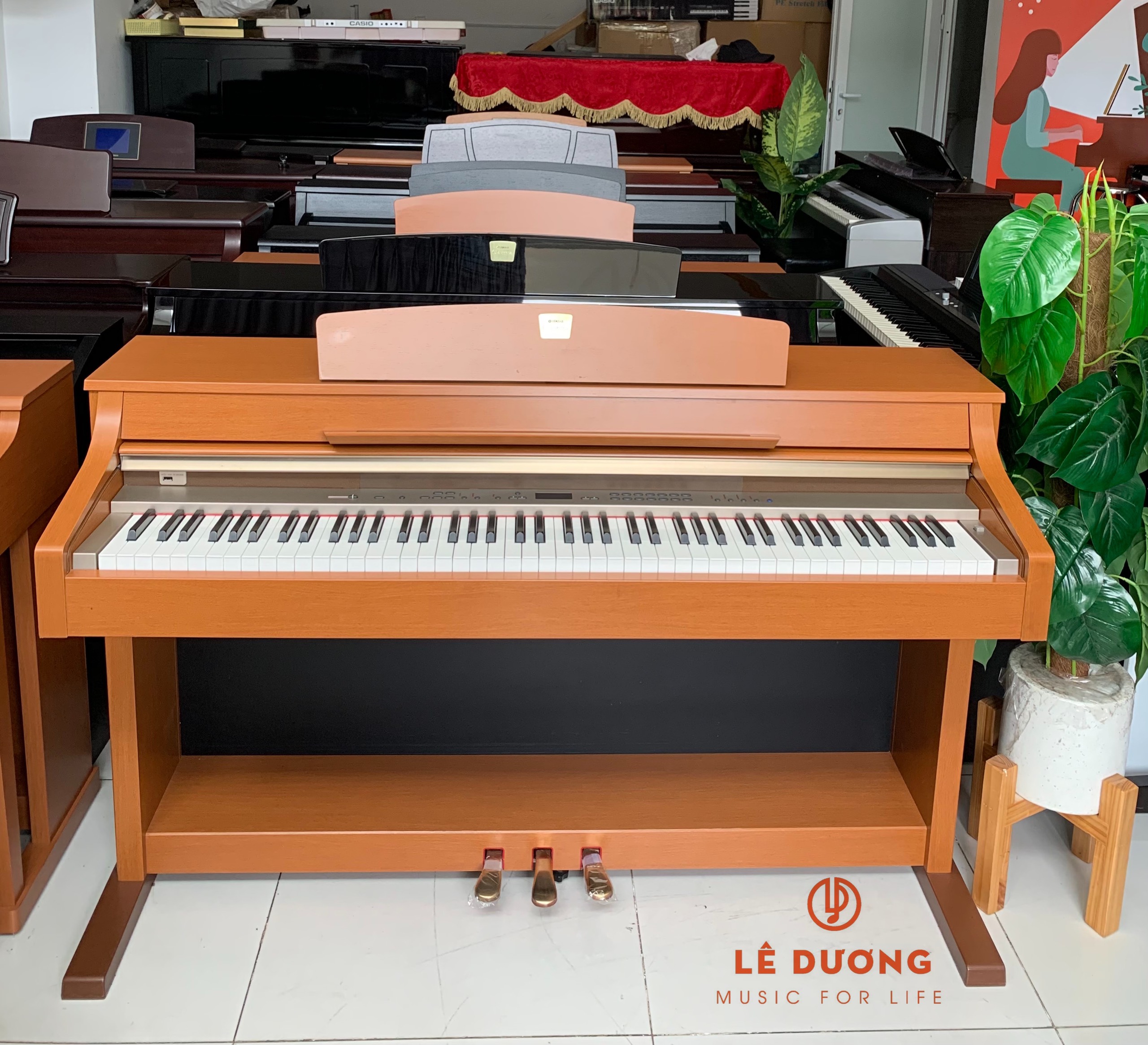 Lê Dương Music - YAMAHA CLP330C